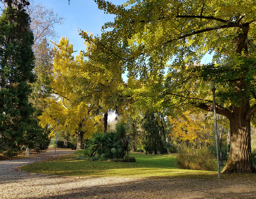 Loisirs de plein air à Montauban : parcs, sentiers et sites pittoresques
